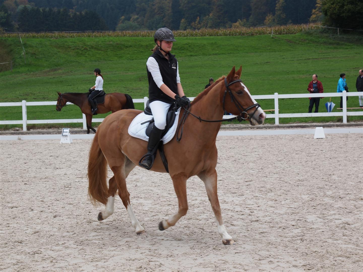 131020PferdesporttagWeidhof-15 (Large).JPG