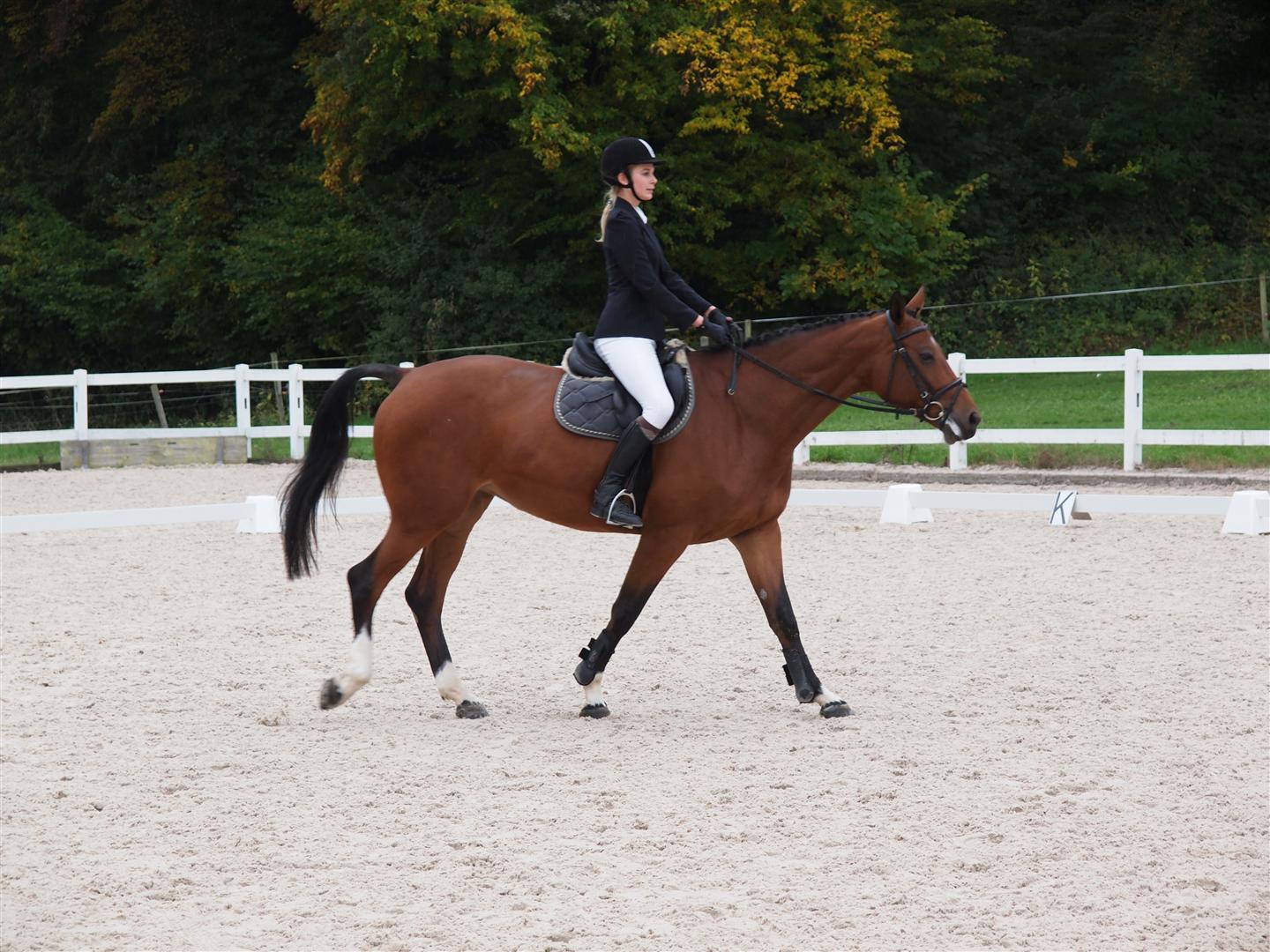 131020PferdesporttagWeidhof-20 (Large).JPG