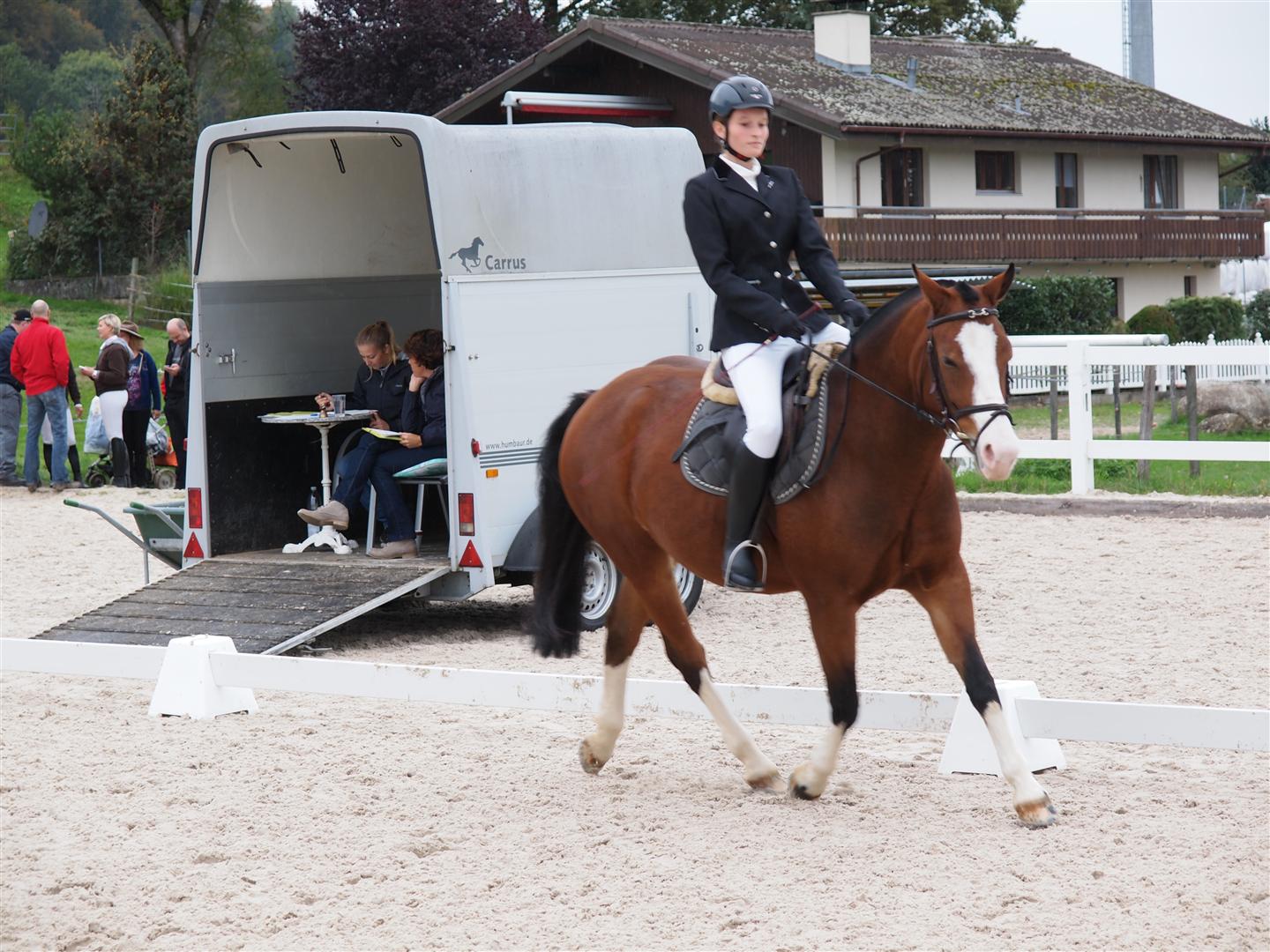 131020PferdesporttagWeidhof-26 (Large).JPG