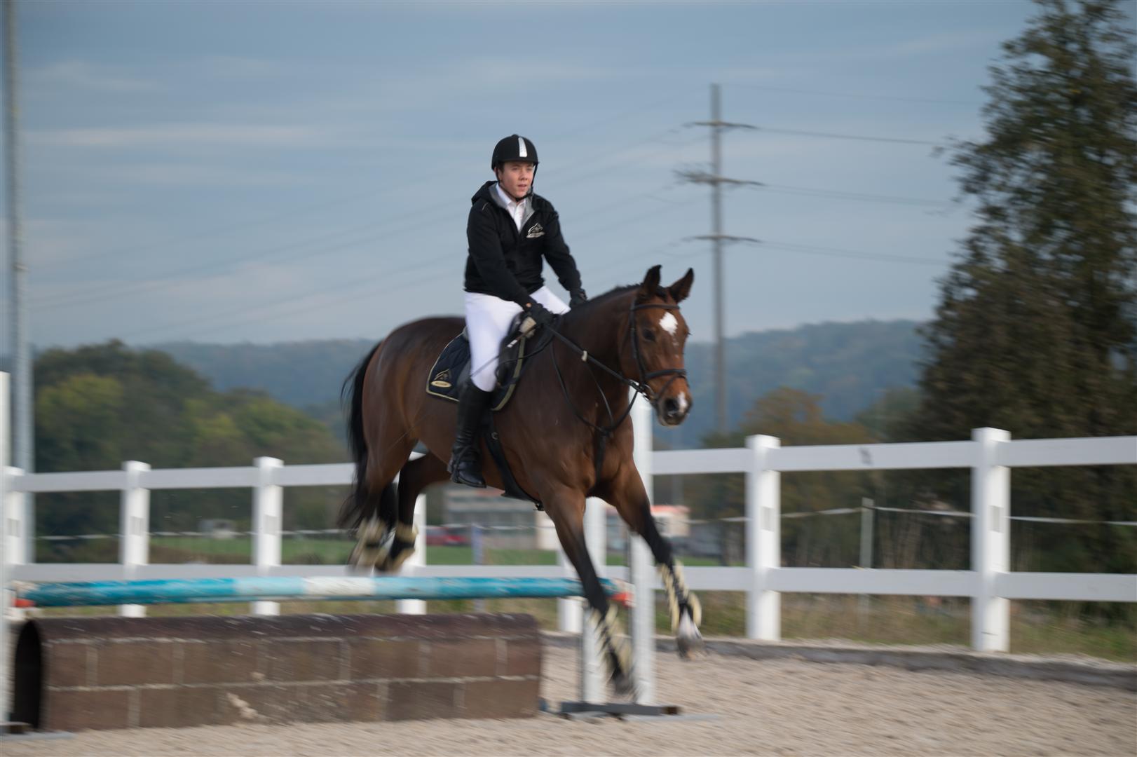 _MSF7985 (Large).jpg