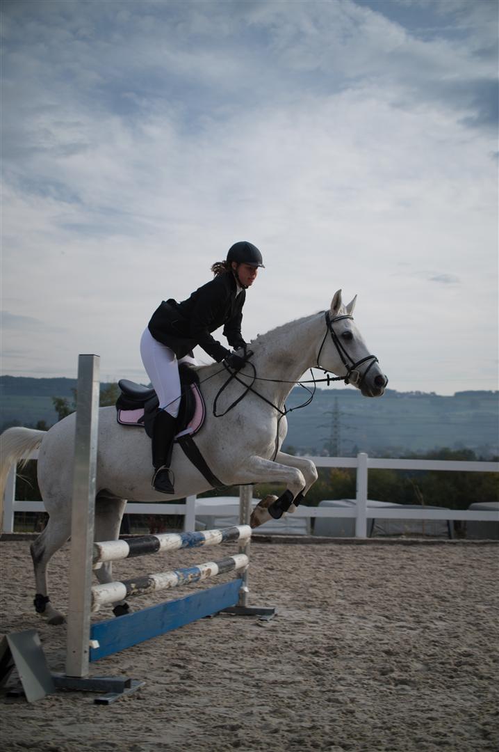 _MSF8012 (Large).jpg