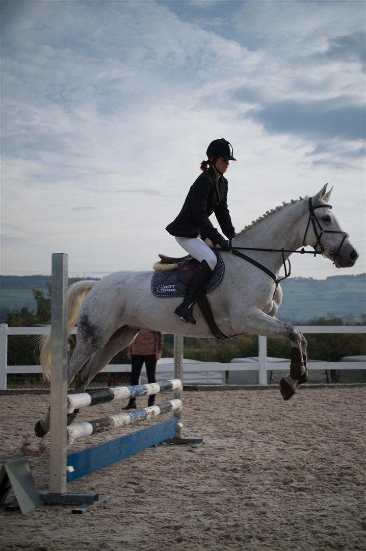 _MSF8038 (Large).jpg