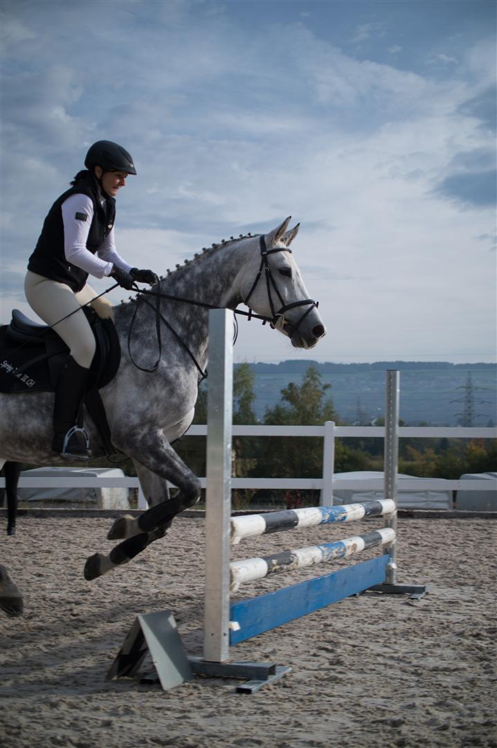 _MSF8068 (Large).jpg