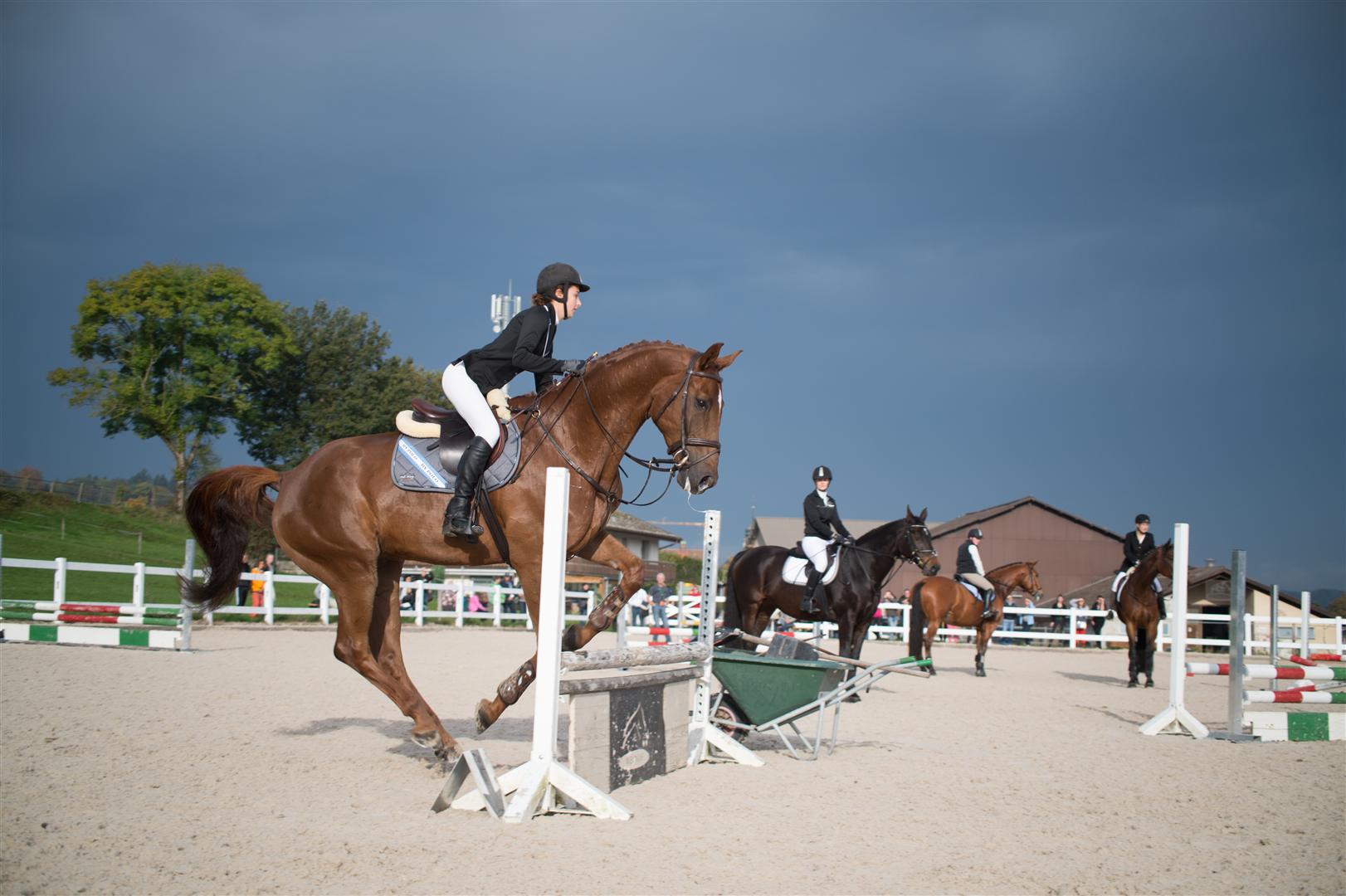 _MSF8107 (Large).jpg