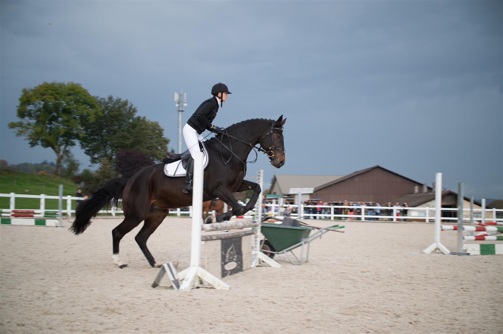 _MSF8176 (Large).jpg