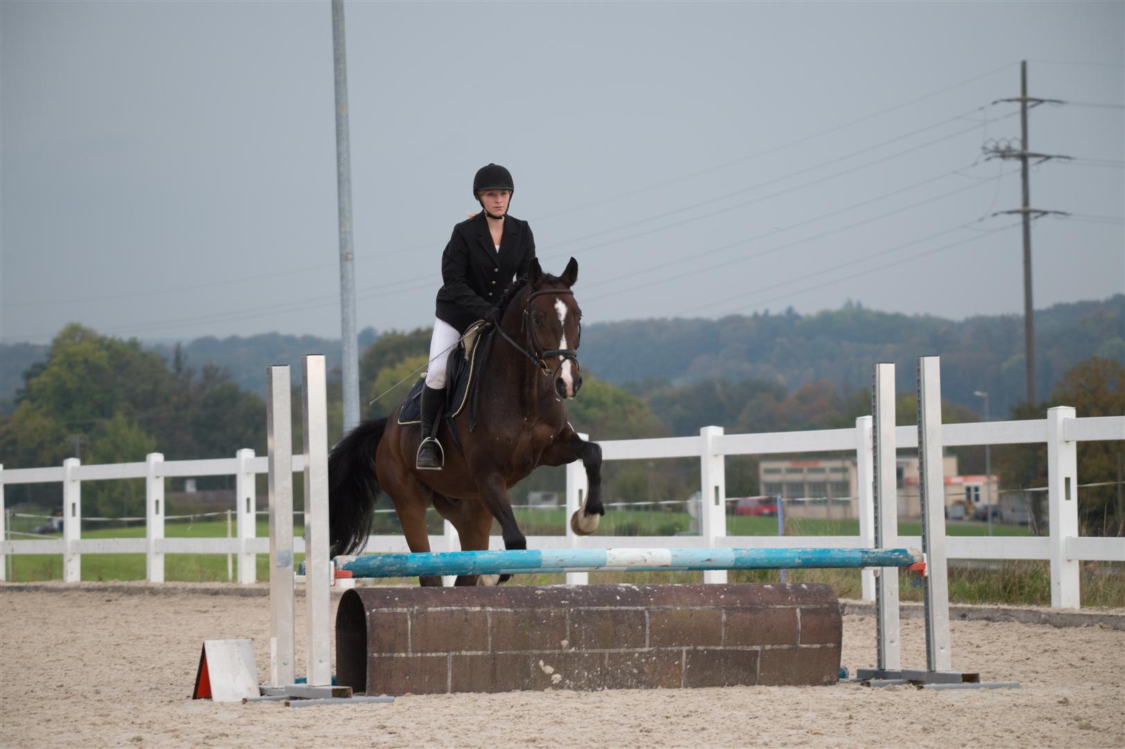 _MSF8259 (Large).jpg