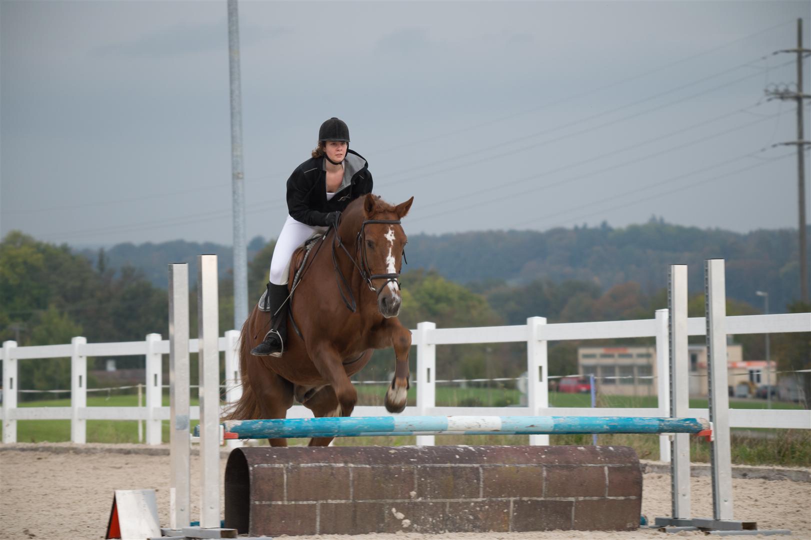 _MSF8291 (Large).jpg