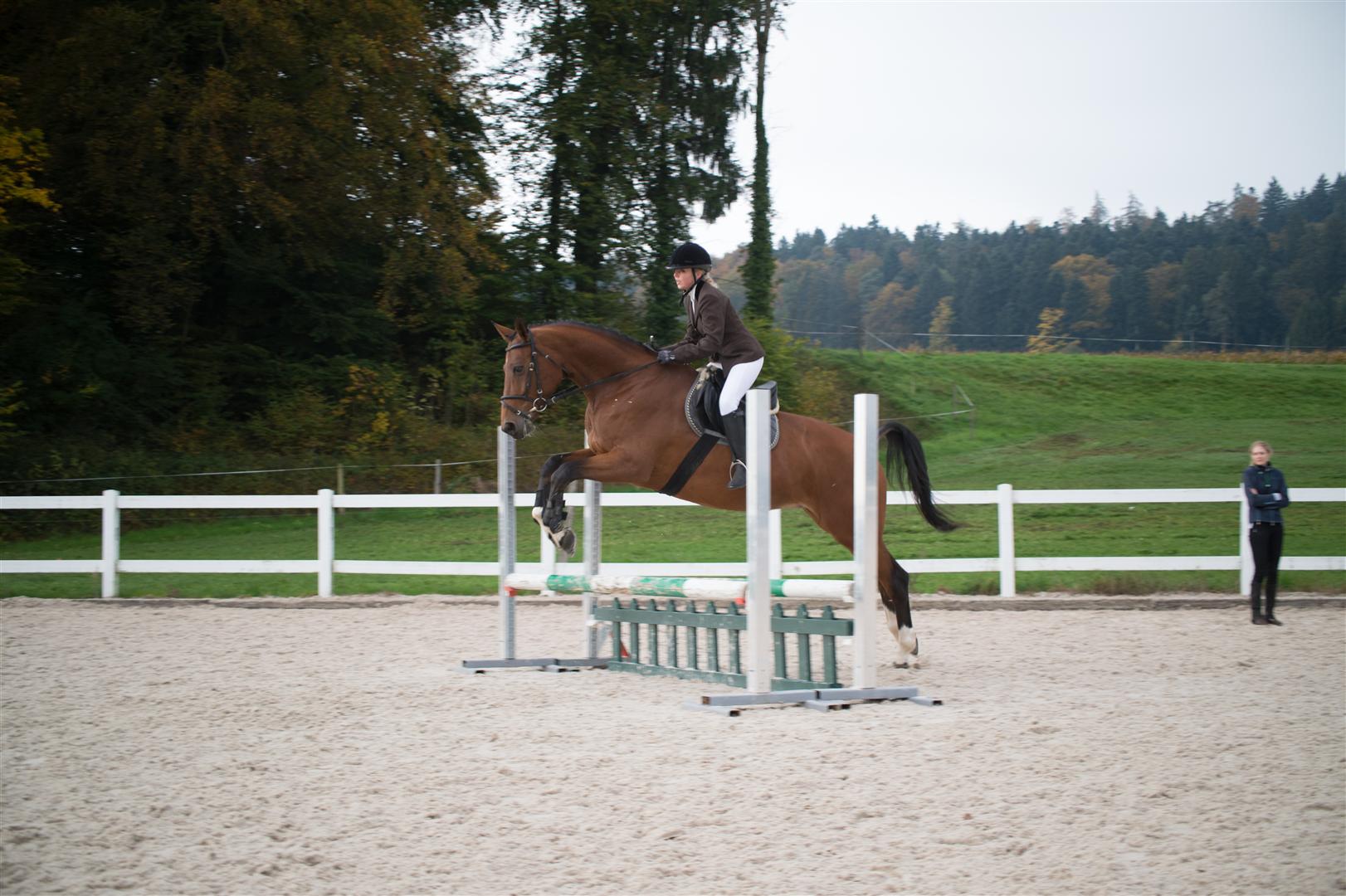 _MSF8355 (Large).jpg