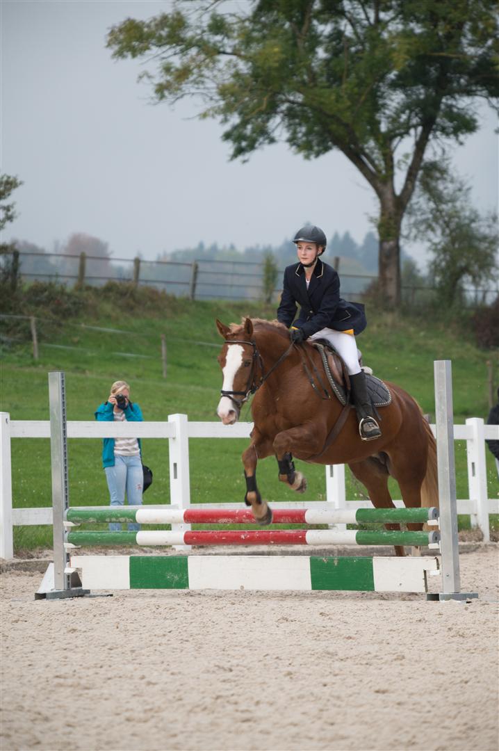 _MSF8390 (Large).jpg