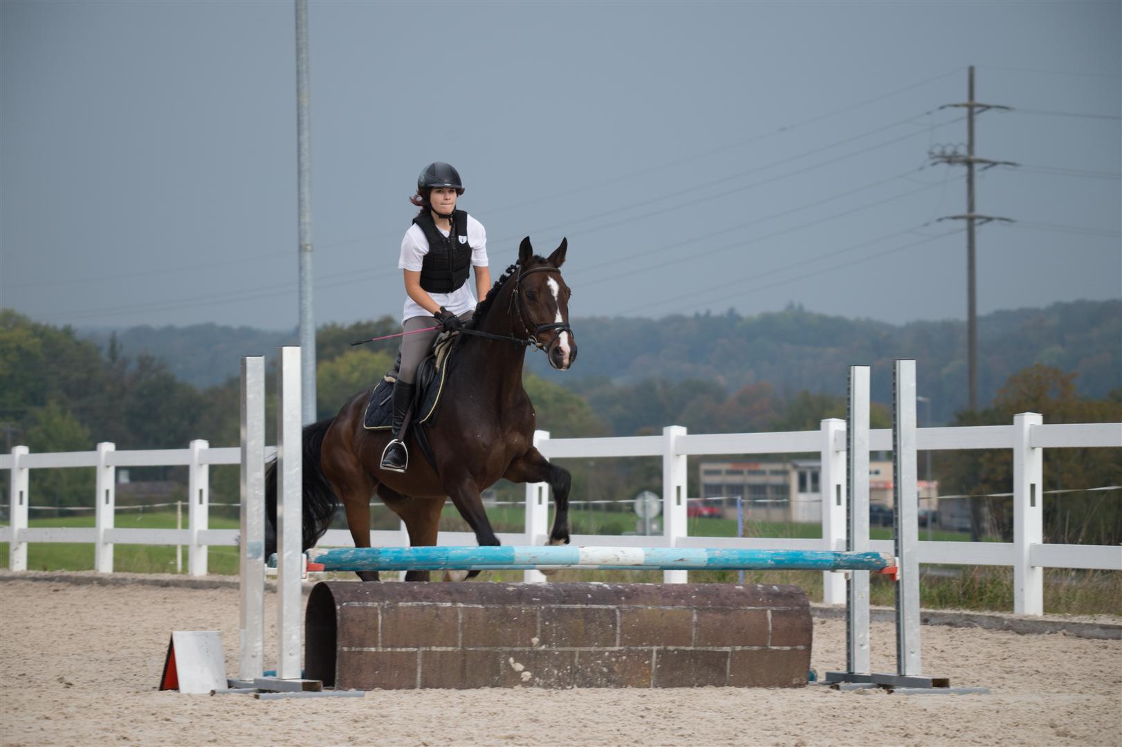 _MSF8442 (Large).jpg