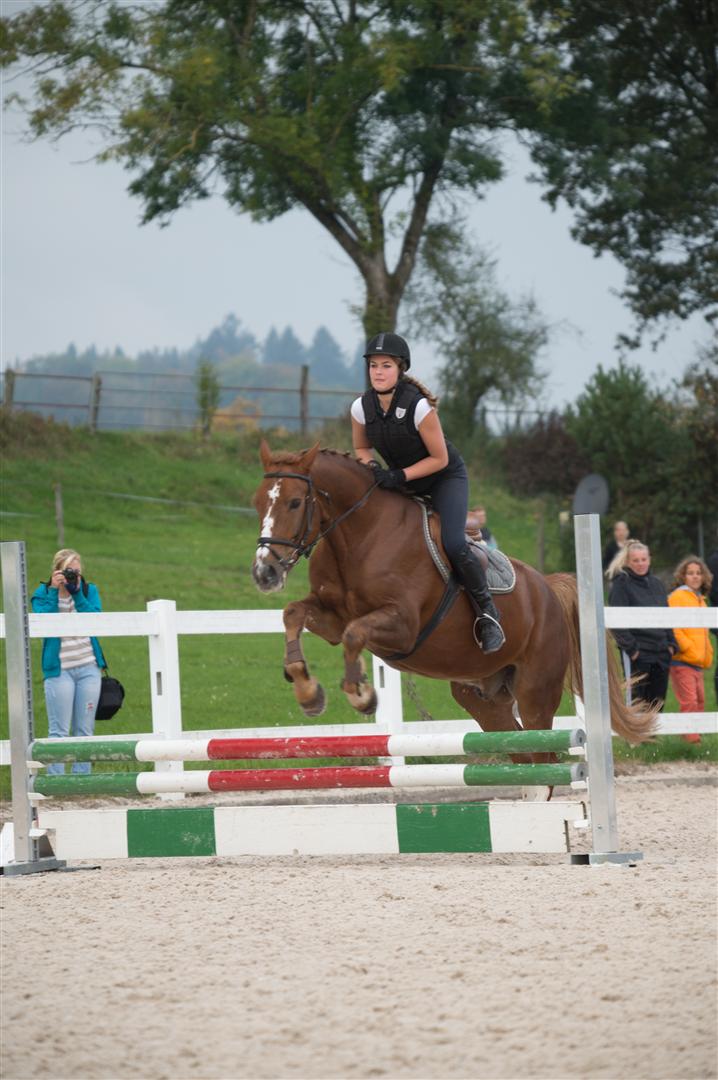 _MSF8496 (Large).jpg