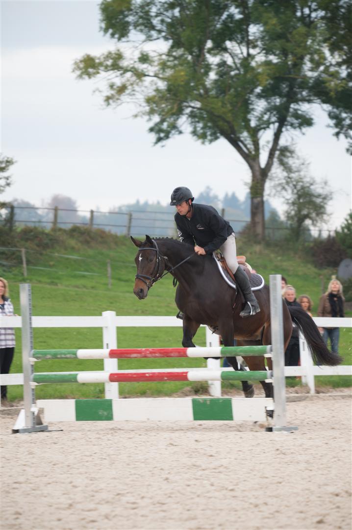 _MSF8576 (Large).jpg