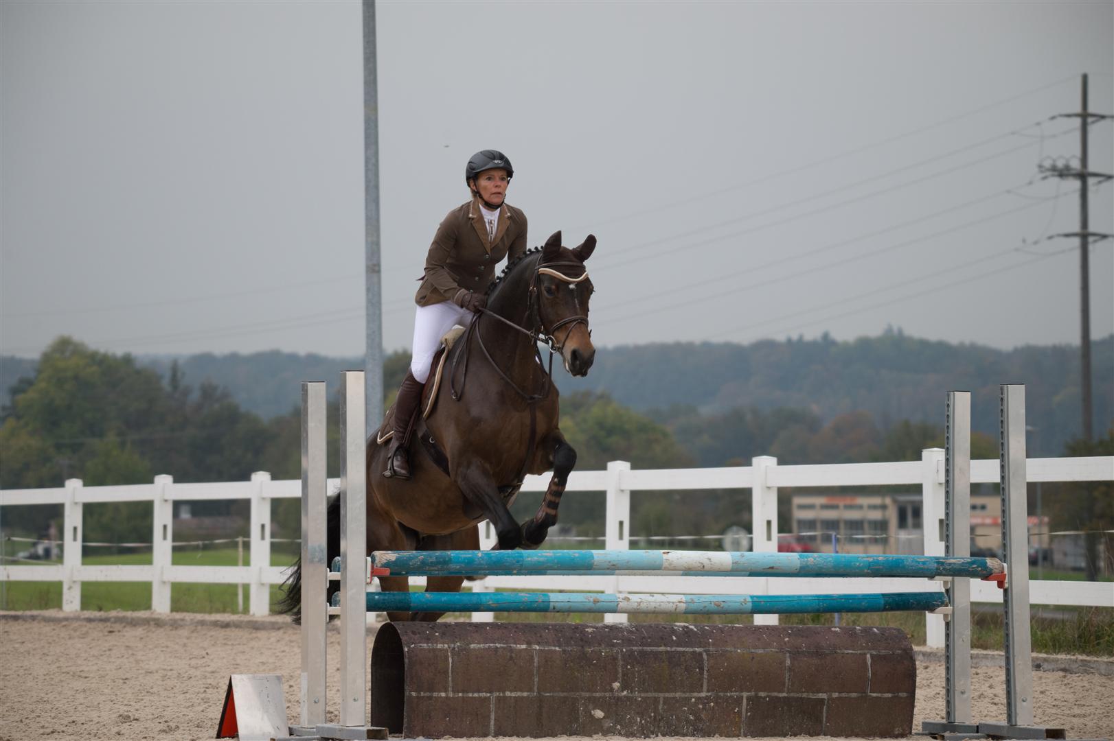 _MSF8601 (Large).jpg