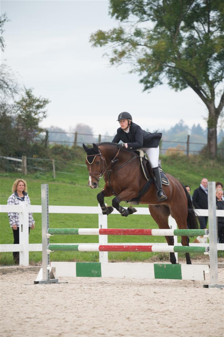 _MSF8666 (Large).jpg