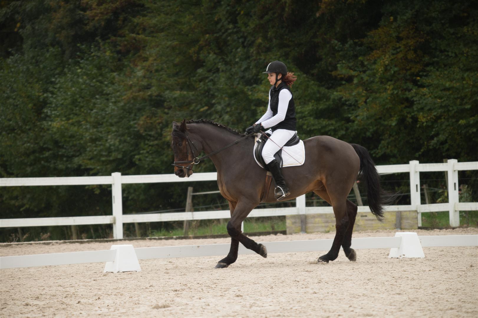 _MSF8685 (Large).jpg