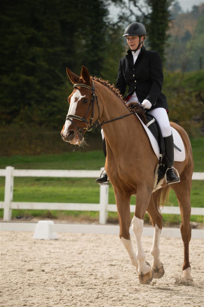 _MSF8717 (Large).jpg