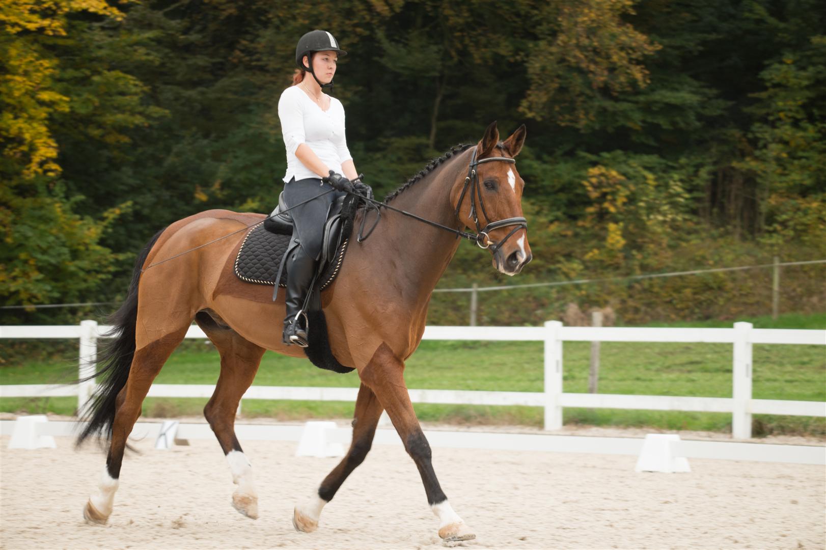 _MSF8748 (Large).jpg