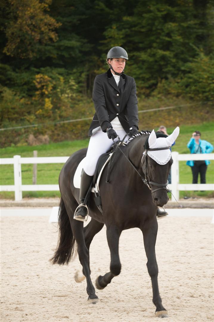 _MSF8776 (Large).jpg