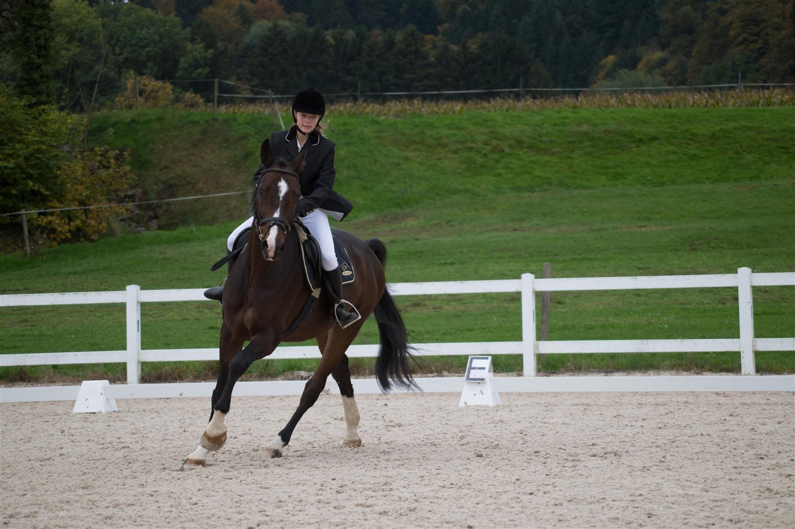 _MSF8945 (Large).jpg