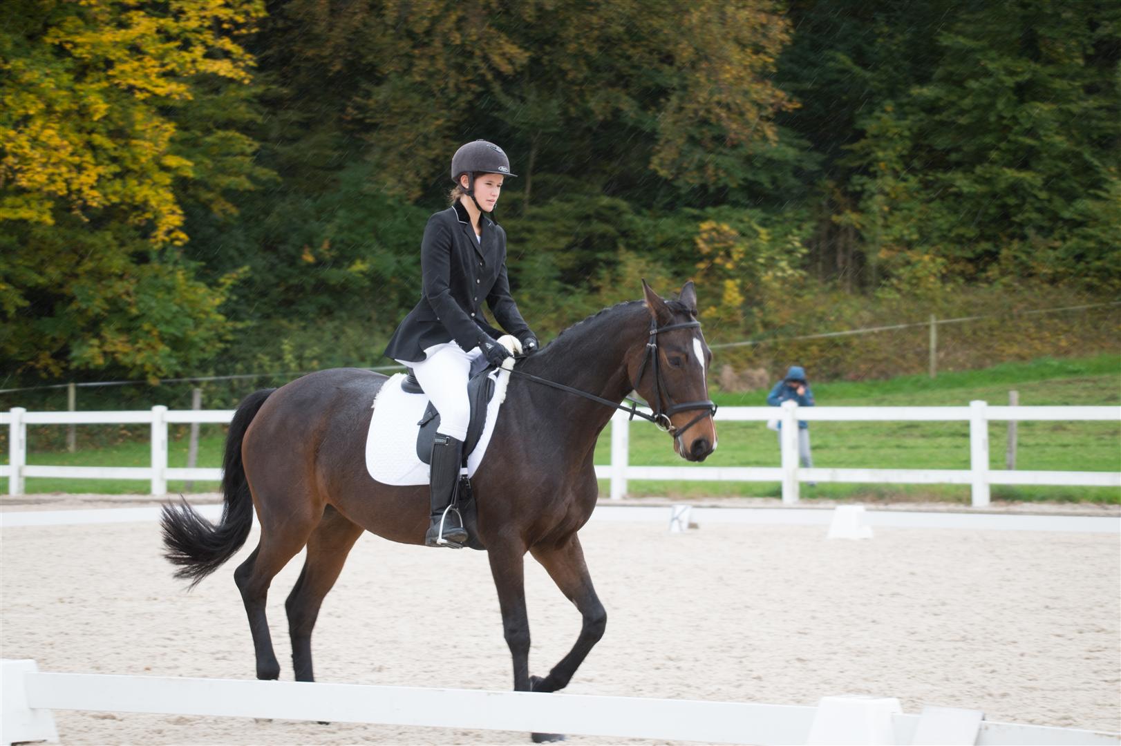 _MSF9043 (Large).jpg