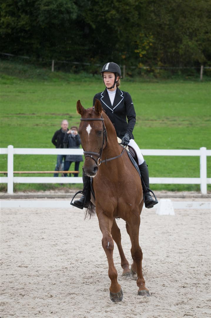 _MSF9101 (Large).jpg