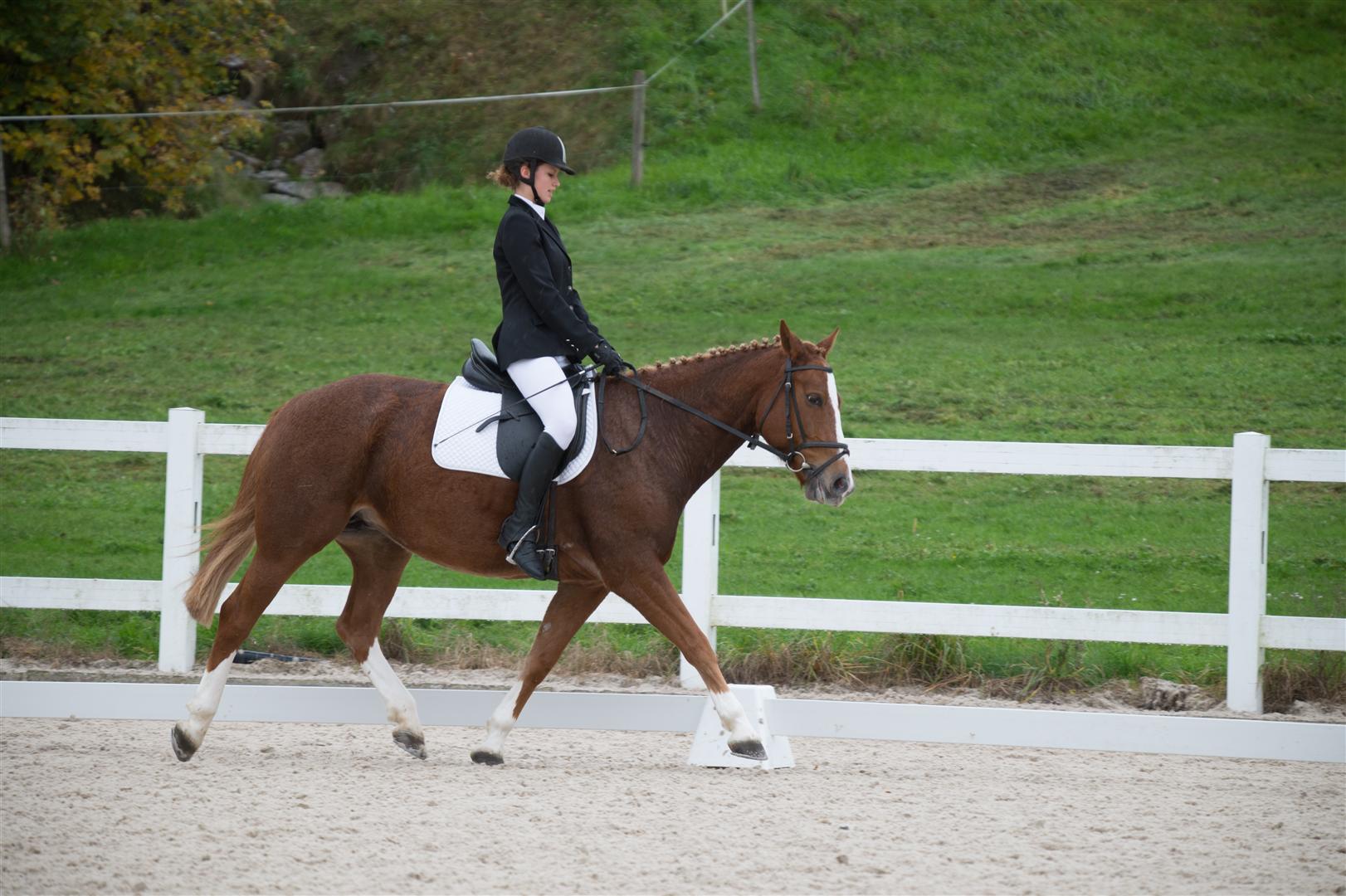 _MSF9111 (Large).jpg