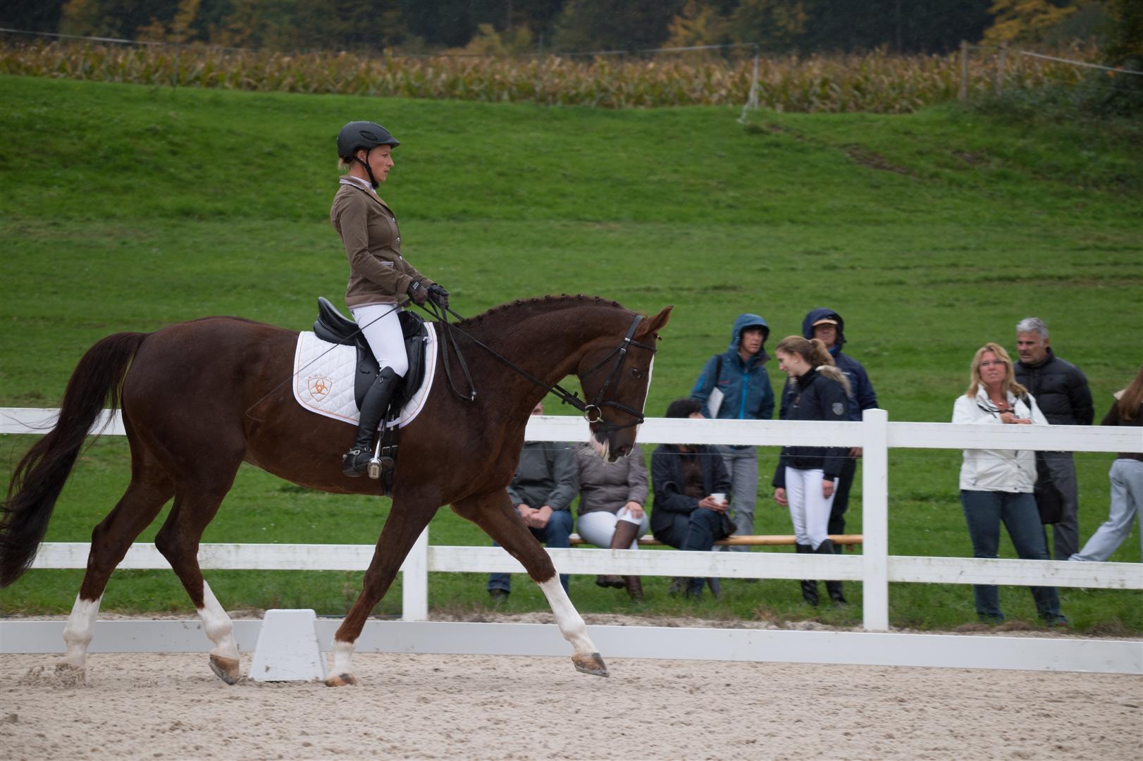 _MSF9212 (Large).jpg